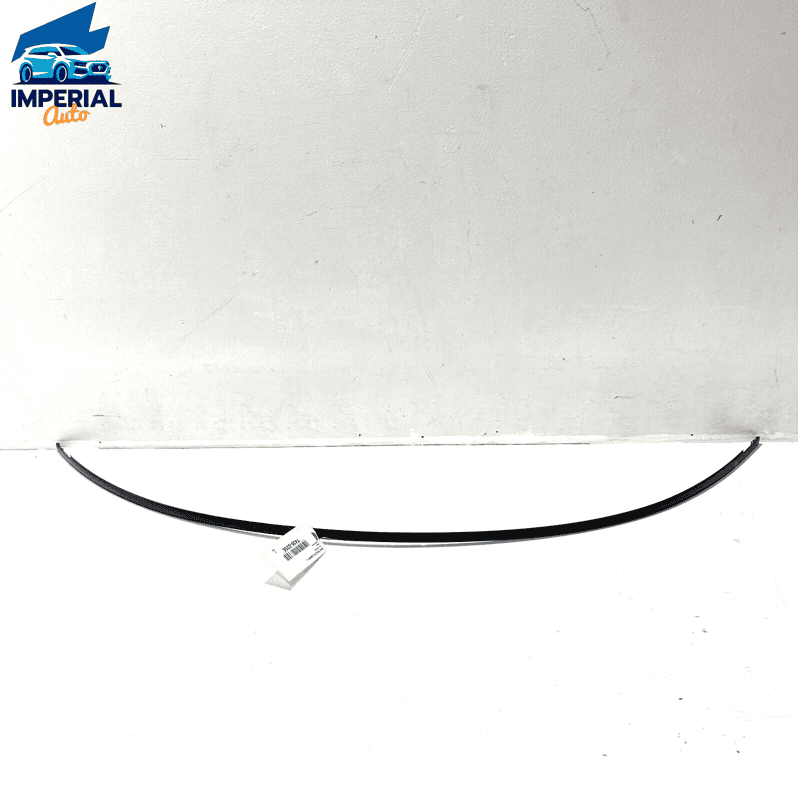 TOYOTA CAMRY 2018-2023 Left Driver Side Roof Drip Molding Trim OEM