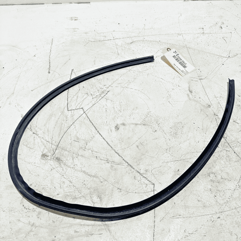 2009-2015 BMW 750LI F02 REAR PASSENGER DOOR LOWER WEATHERSTRIP SEAL OEM