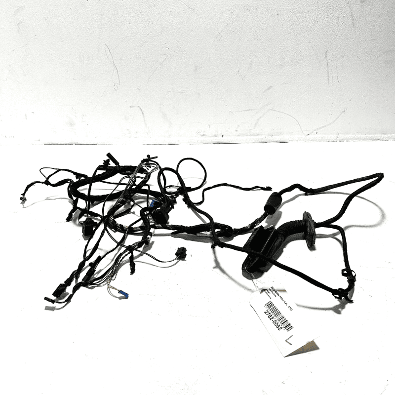 2009-2015 BMW 750 Li REAR LEFT DRIVER SIDE DOOR WIRE WIRING HARNESS OEM