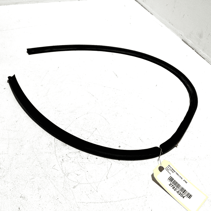 2009-2015 BMW 750 Li REAR LEFT DRIVER SIDE DOOR LOWER WEATHERSTRIP SEAL OEM