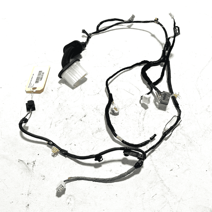 2019-2021 HONDA CIVIC FRONT LEFT DRIVER SIDE DOOR WIRE WIRING HARNES OEM