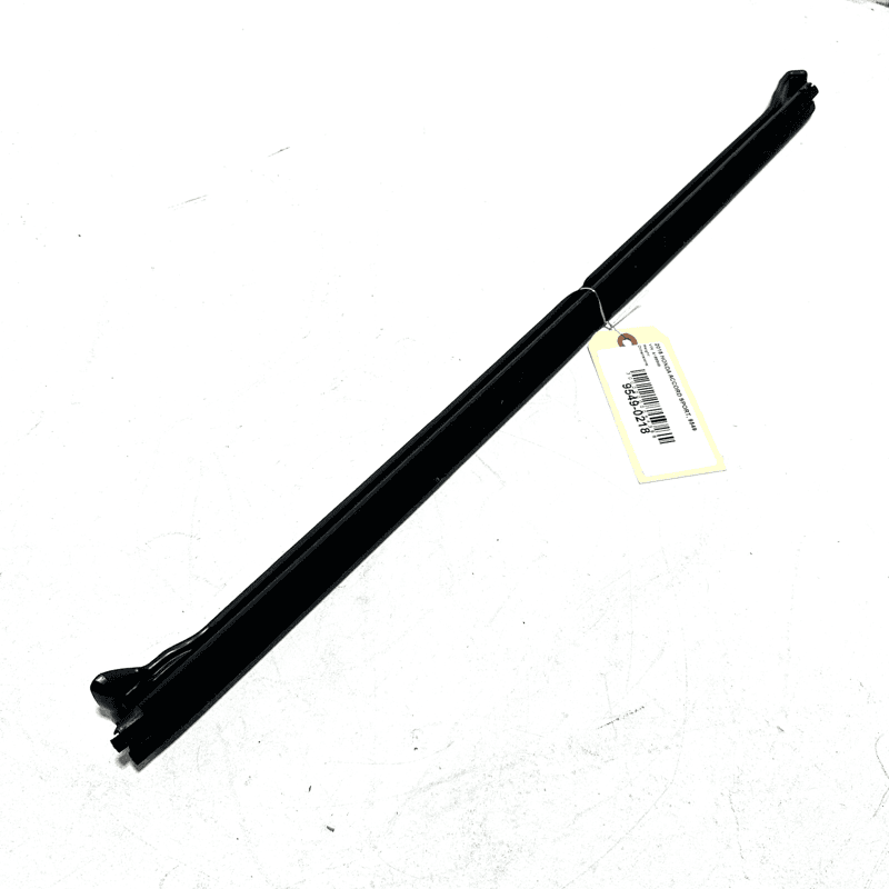 HONDA ACCORD 18-24 REAR PASSENGER DOOR WINDOW INNER BELT WEATHERSTRIP SEAL OEM