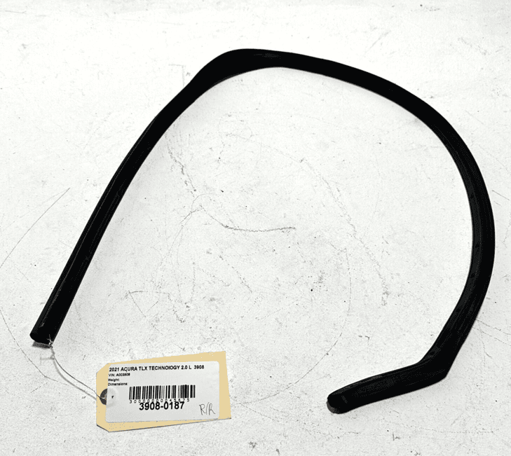 Rear Right Side Window Channel Door Run Seal Glass Acura TLX 2021-2023 OEM