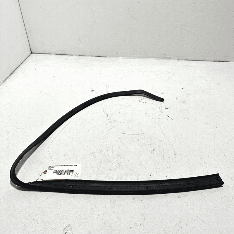 Rear Left Side Door Lower Weatherstrip Seal Acura TLX 2021-2023 OEM