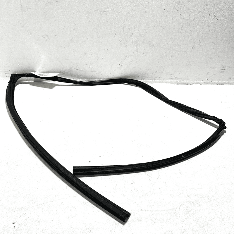 Front Left Glass Window Run Channel Weatherstrip Seal Toyota Camry 2018-2023 OEM