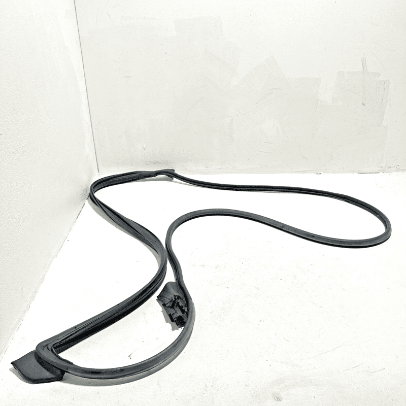 Front Left Door Weatherstrip Seal Toyota Camry 2018-2024 OEM