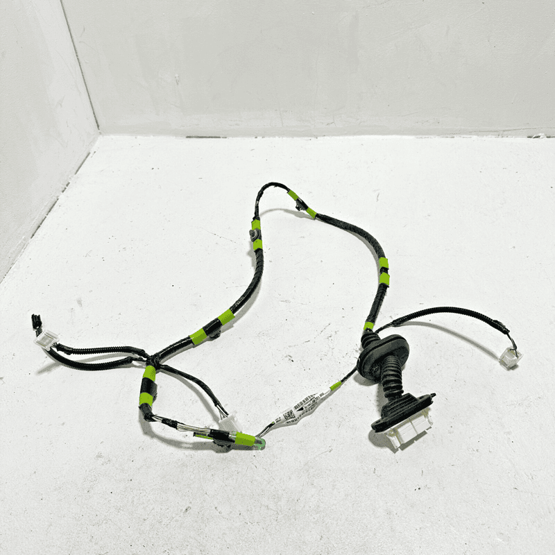 TOYOTA CAMRY REAR LEFT DRIVER SIDE DOOR WIRE WIRING HARNESS OEM 2019-2024