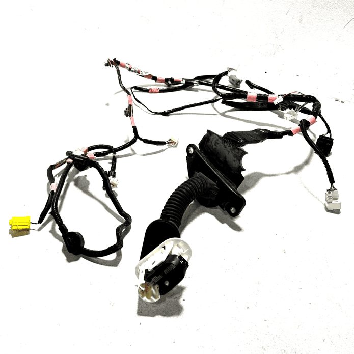 2018-2019 TOYOTA CAMRY FRONT LEFT DRIVER SIDE DOOR WIRE WIRING HARNESS OEM