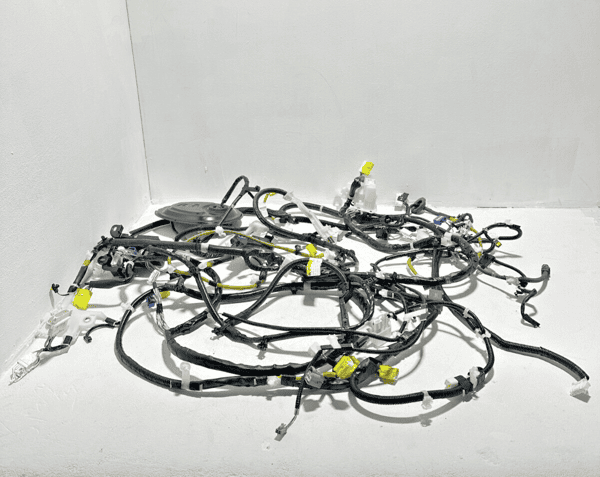 2019 TOYOTA CAMRY XSE 2.5L Wire Harness Main Body Cab Floor Wiring OEM
