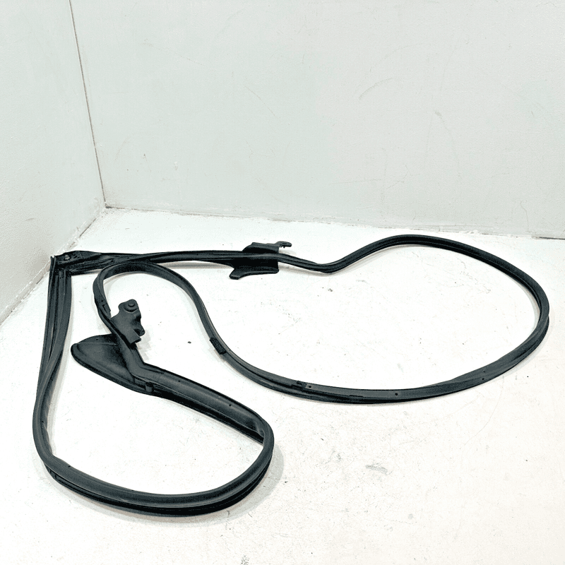 Front Left Driver Side Door Weatherstrip Seal Lexus NX300 2018-2021 OEM