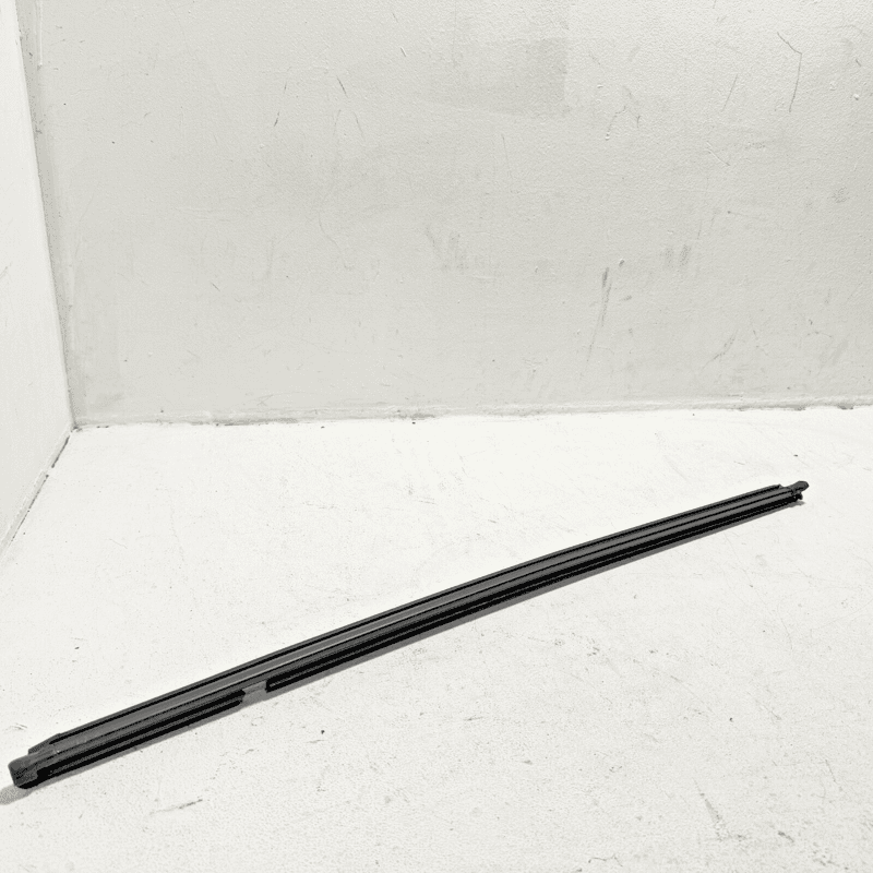 Volkswagen Atlas Rear Passenger Door Window Inner Weatherstrip Seal 2018-24 OEM