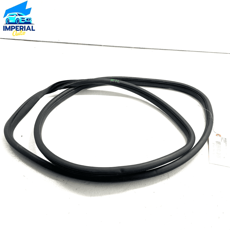 2018-2020 Acura TLX Rear Left Driver Side Door Seal On Body OEM