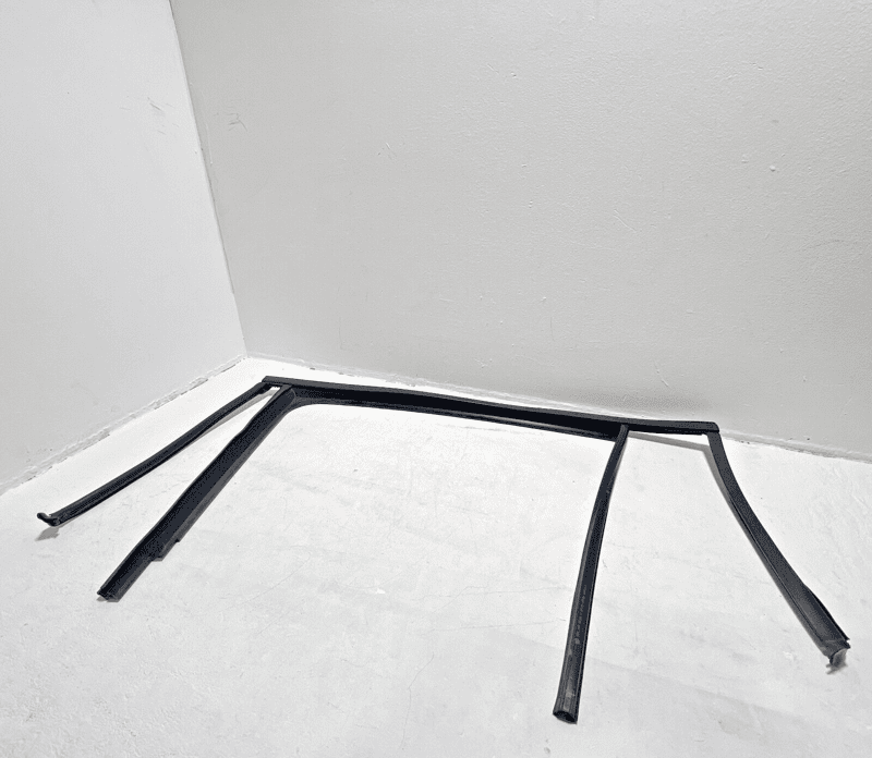 Volkswagen Atlas Rear Left Driver Window Glass Run Channel Seal 2018-2024 OEM