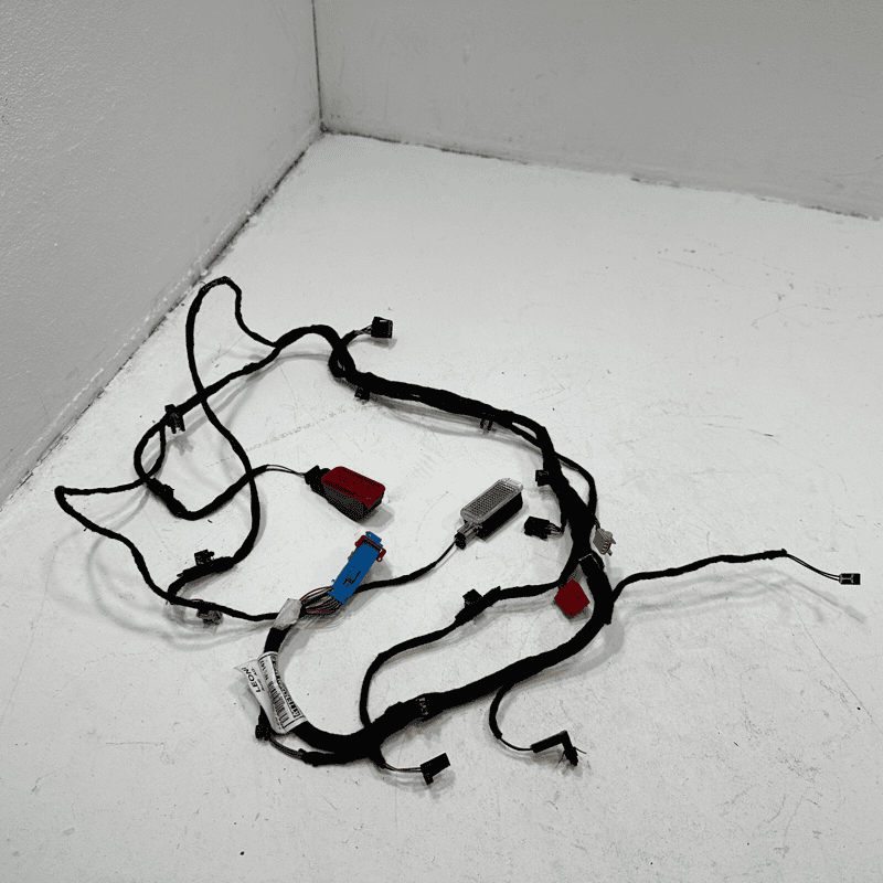 2012-2018  AUDI A6 FRONT DRIVER DOOR PANEL LIGHT WIRE HARNESS CABLE W/LAMPS OEM