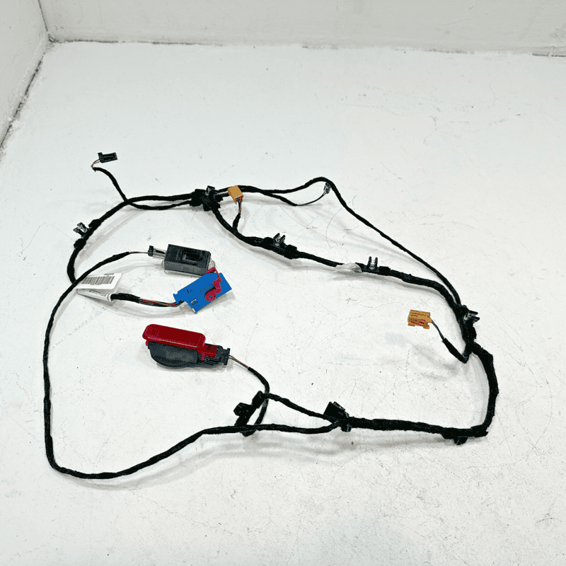 2016-2018 AUDI A6 FRONT PASENGER SIDE DOOR PANEL WIRE WIRING HARNESS OEM