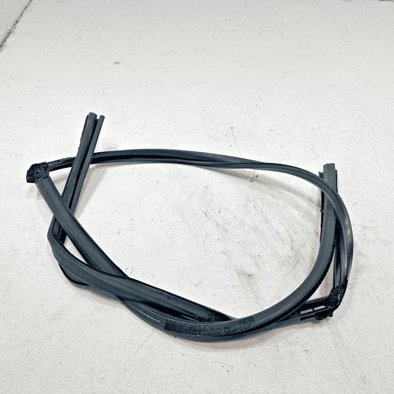 2016-2021 HONDA CIVIC REAR PASSENGER DOOR WINDOW GLASS RUN CHANNEL SEAL OEM