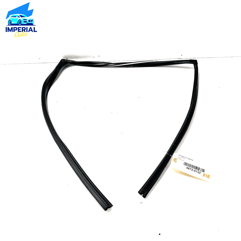 2015-2020 ACURA TLX REAR RIGHT PASENGER SIDE DOOR WINDOW GLASS RUN CHANNEL 