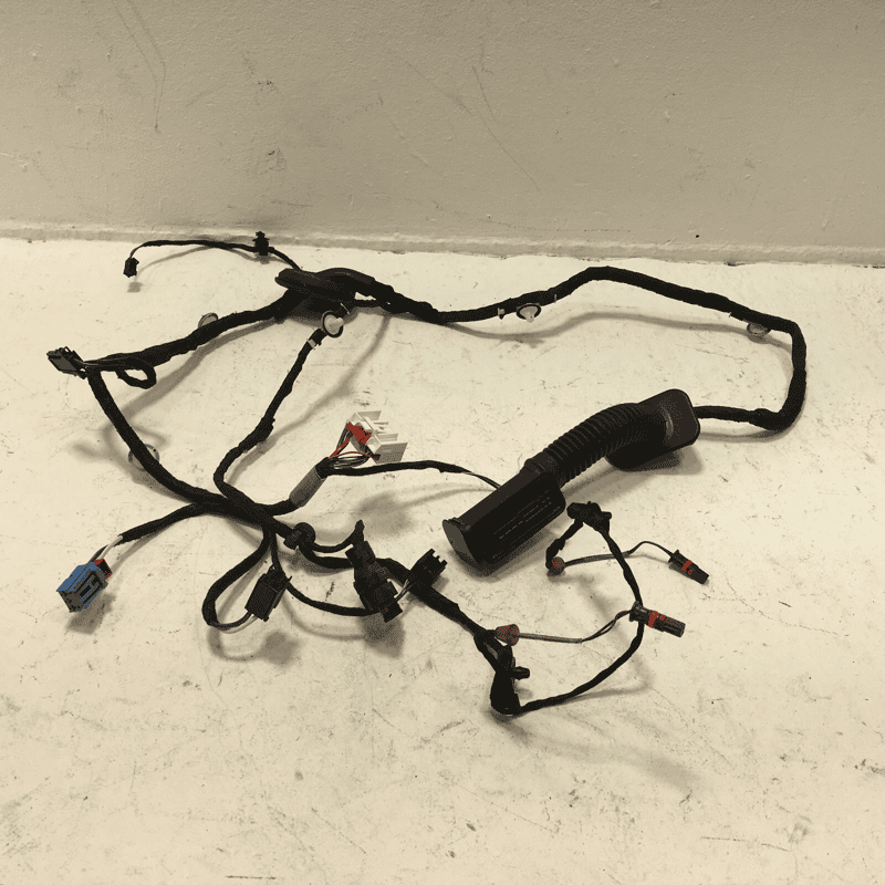2018-2024 AUDI S5 SPORTBACK REAR LEFT DRIVER SIDE DOOR WIRE WIRING HARNESS OEM