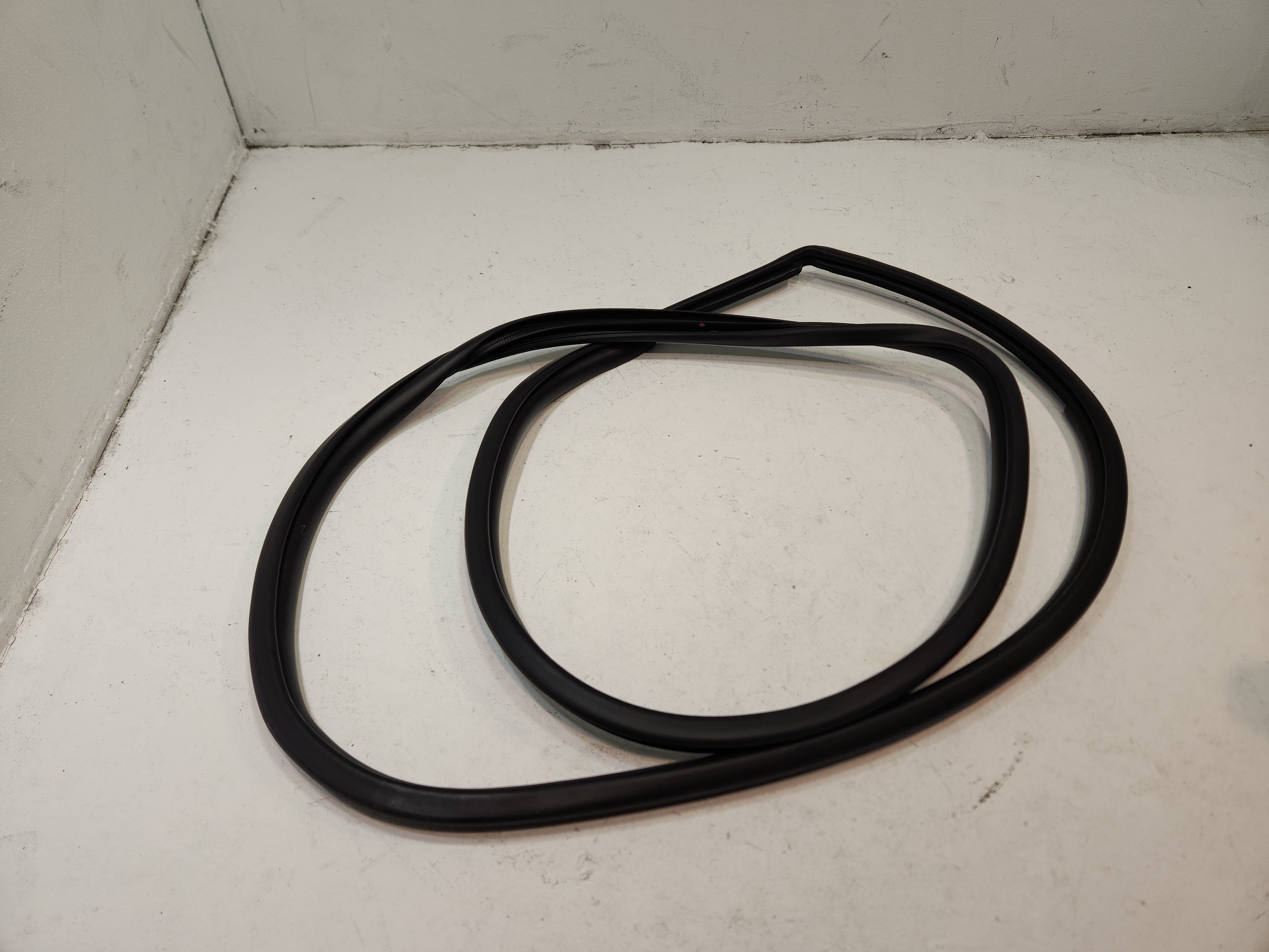 2018-2024 Toyota Camry Front Right Passenger Door Body Wheatherstrip Seal OEM