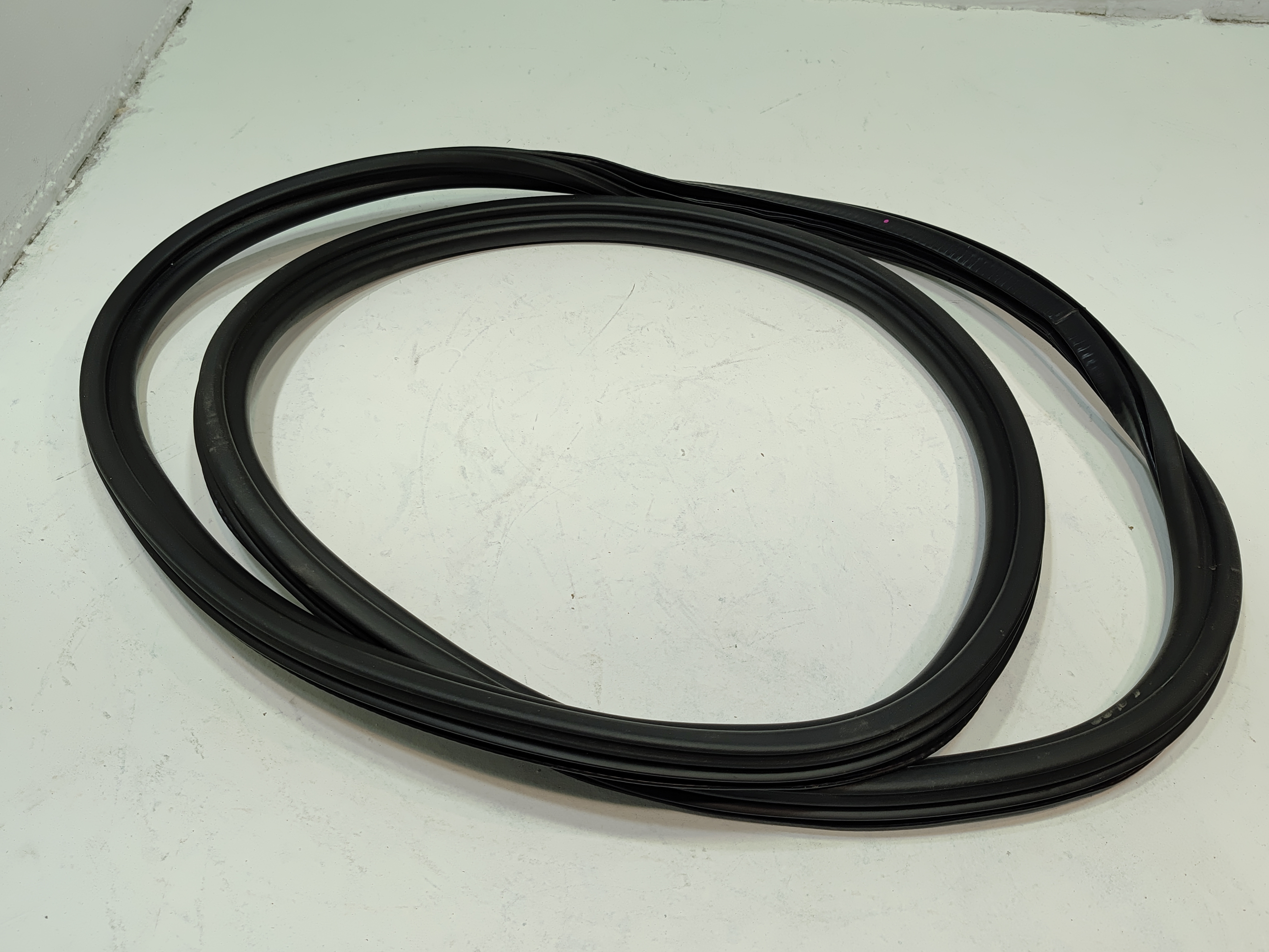 Rear Right  Side Door Body Seal
