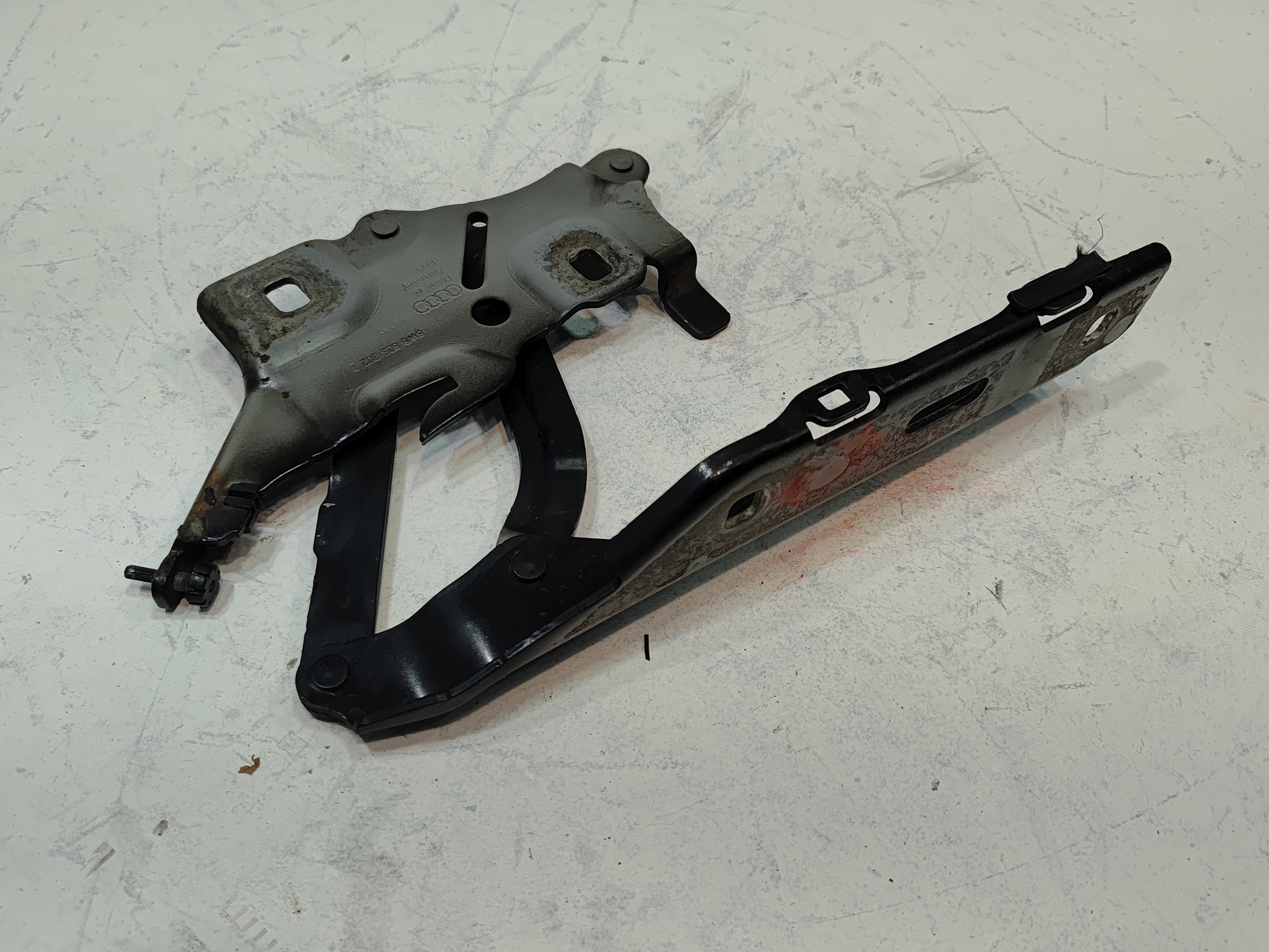 2018-2024 Audi Audi S5 Sportback Front Right Passenger Side Hinge OEM