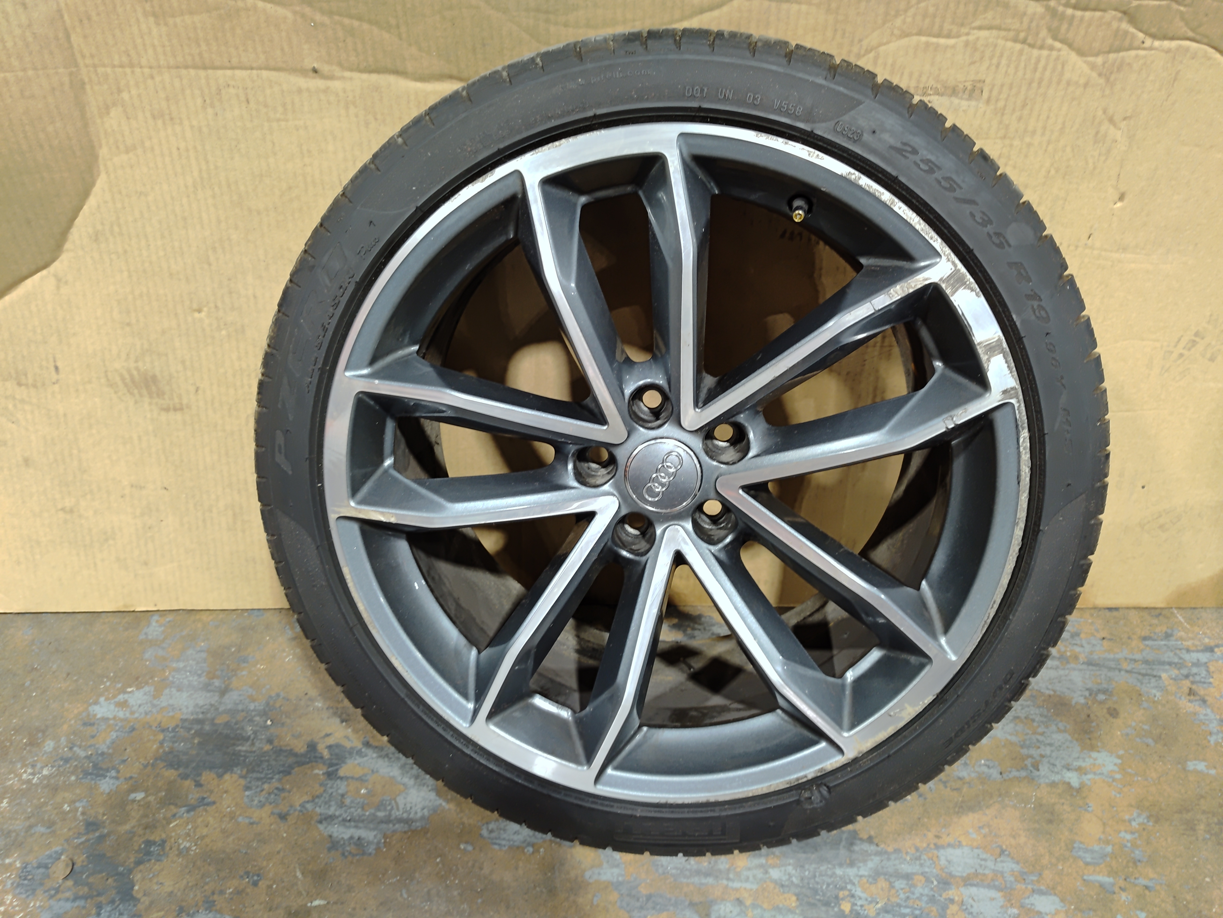 2018 - 2024 Audi S5 Sportback R19 8.5J 255/35 Double Spoke Wheel Rim OEM