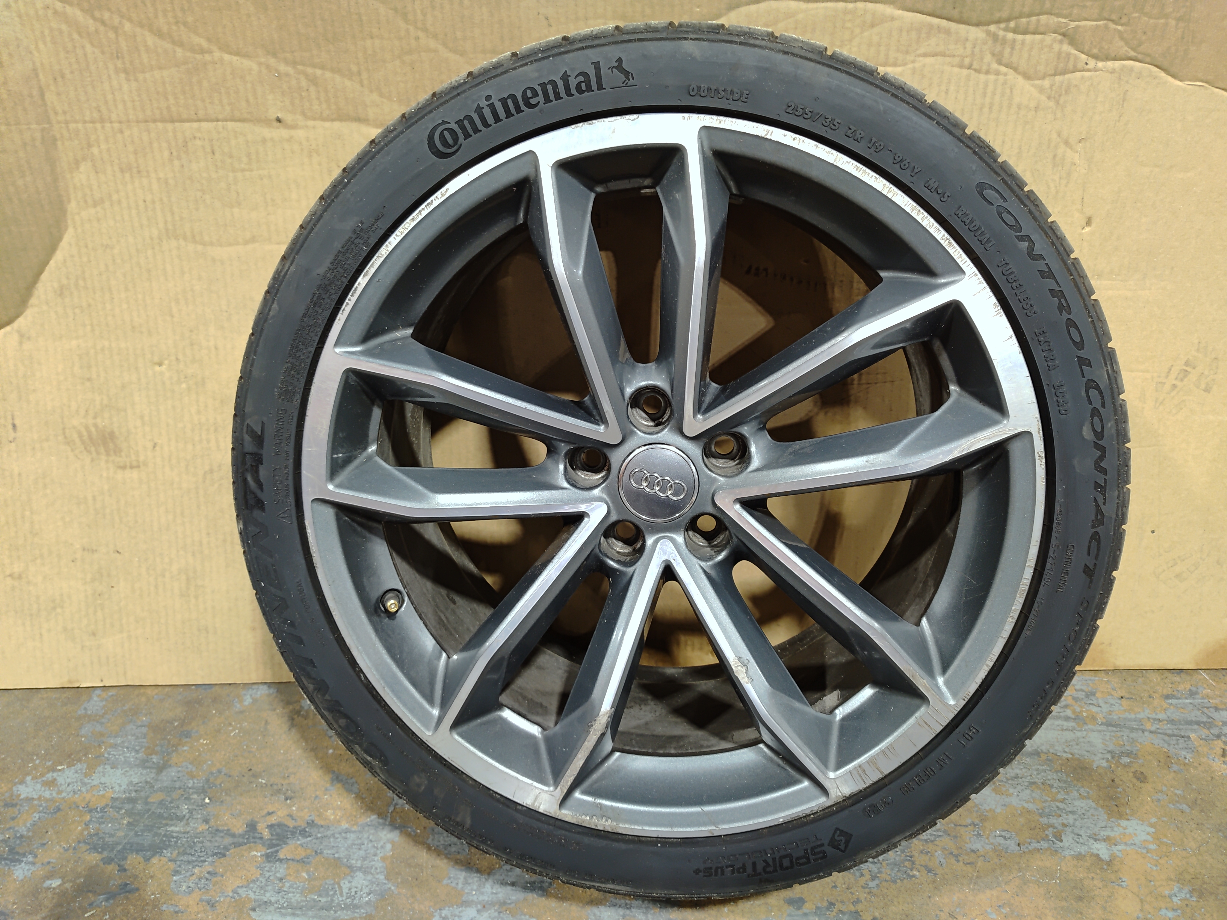 2018 - 2024 Audi S5 Sportback R19 8.5J 255/35 Double Spoke Wheel Rim OEM