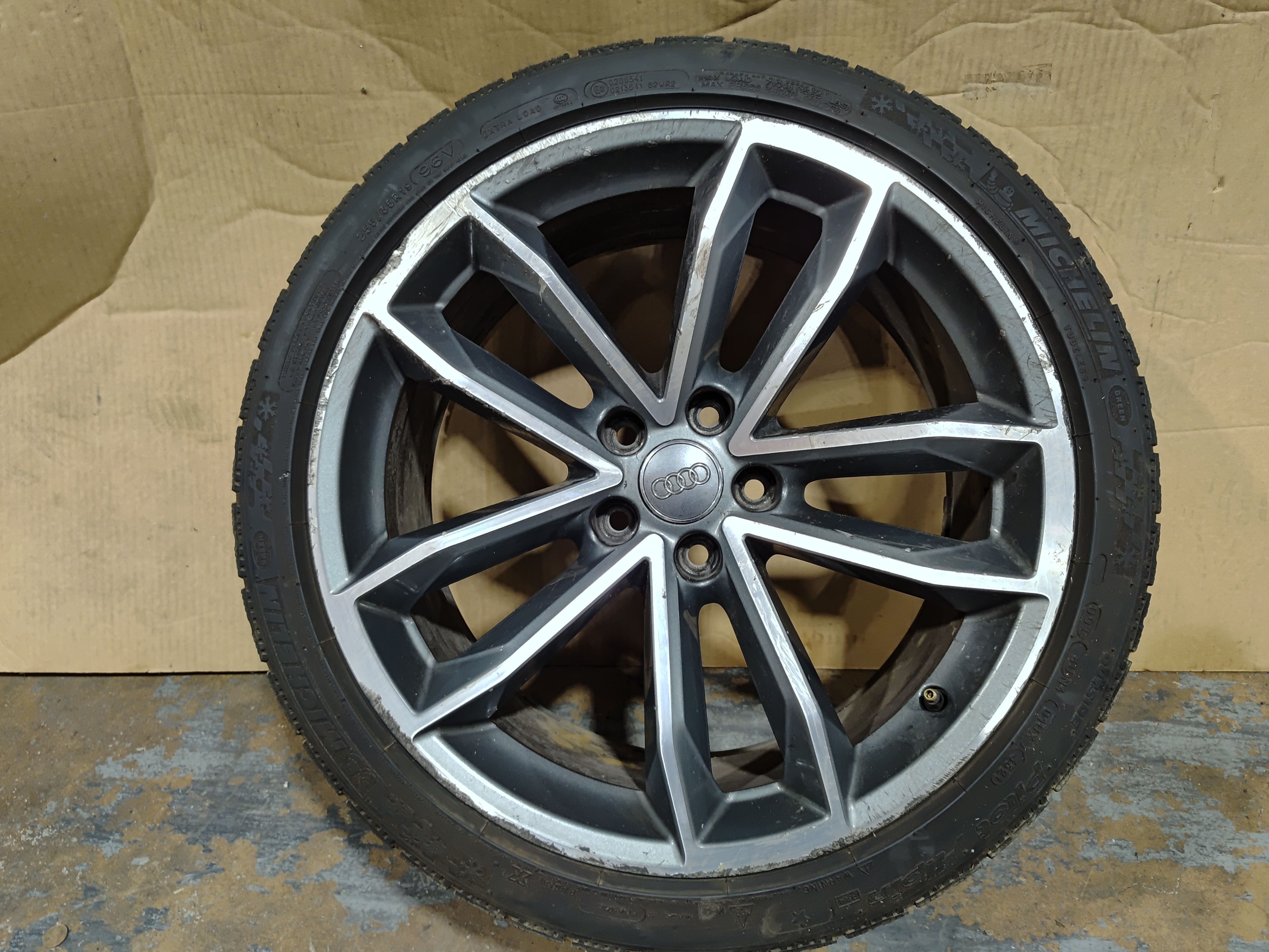 2018 - 2024 Audi S5 Sportback R19 8.5J 255/35 Double Spoke Wheel Rim OEM