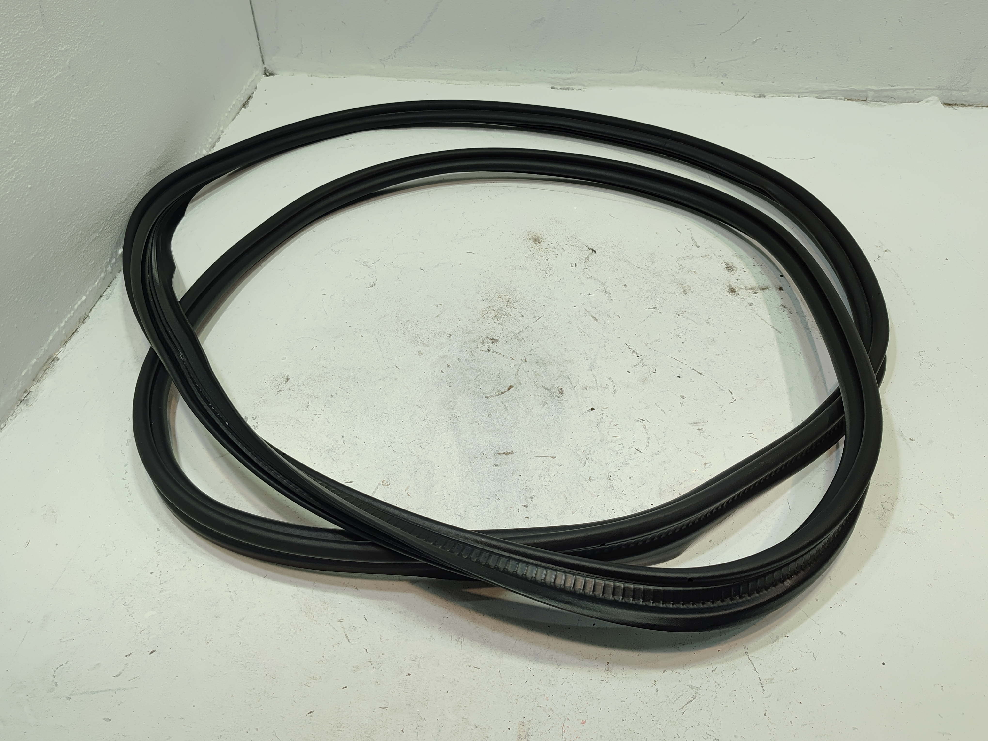 2018 - 2024 AUDI S5 SPORTBACK REAR LIFTGATE TRUNK RUBBER WEATHERSTRIP SEAL OEM