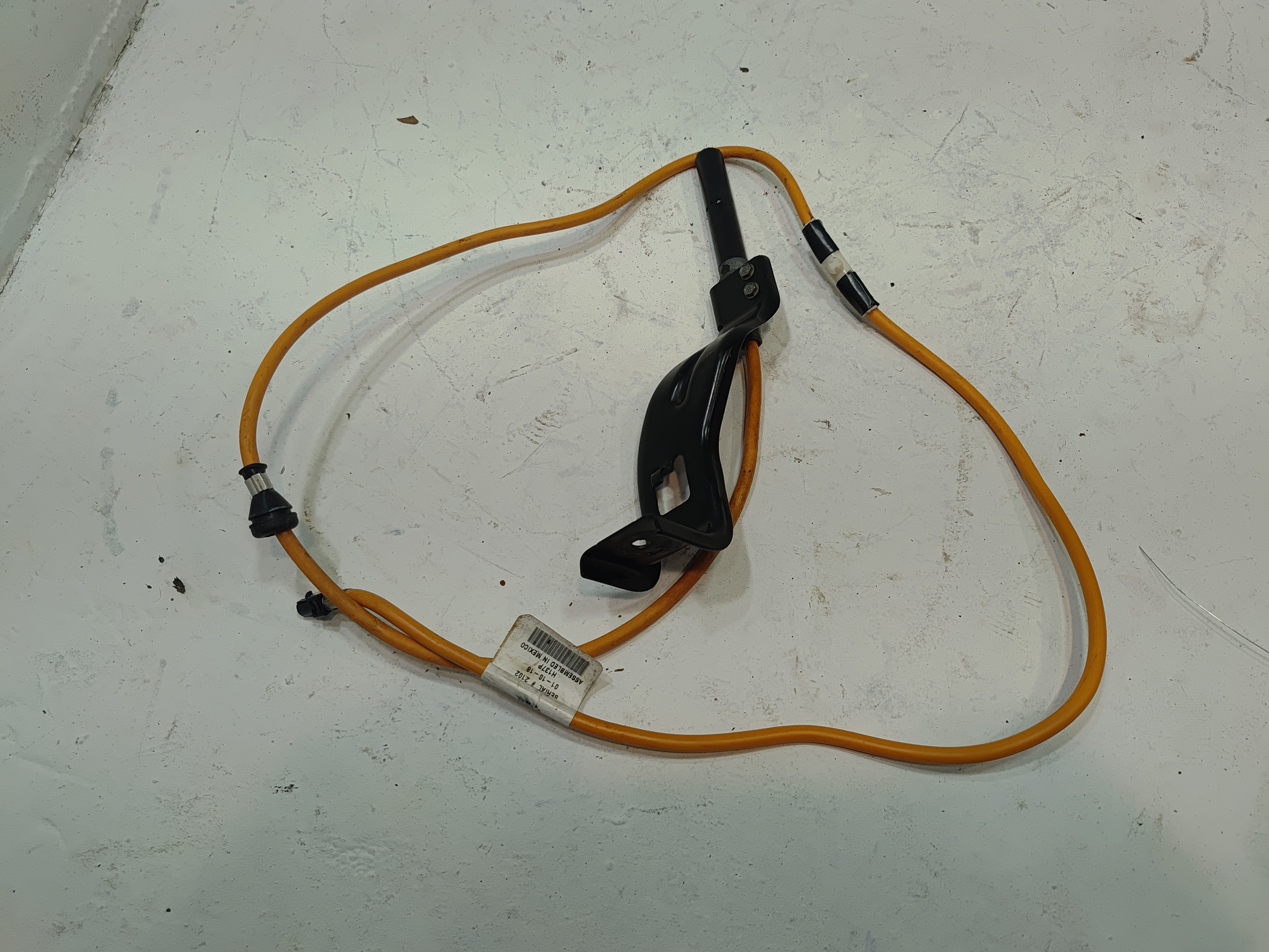 2015-2020 Ford F-150 Aerial Antenna Assembly OEM