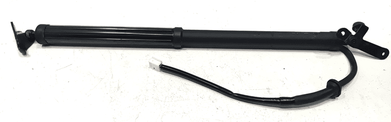 2019-24 Toyota RAV4 Rear Left Driver Side Liftgate Shock Strut Lift Support OEM