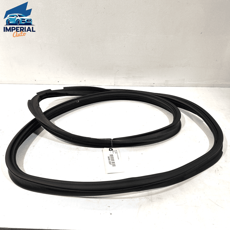 16-22 BMW X1 F48 TAILGATE LIFTGATE BACK DOOR BODY WEATHERSTRIP SEAL OEM