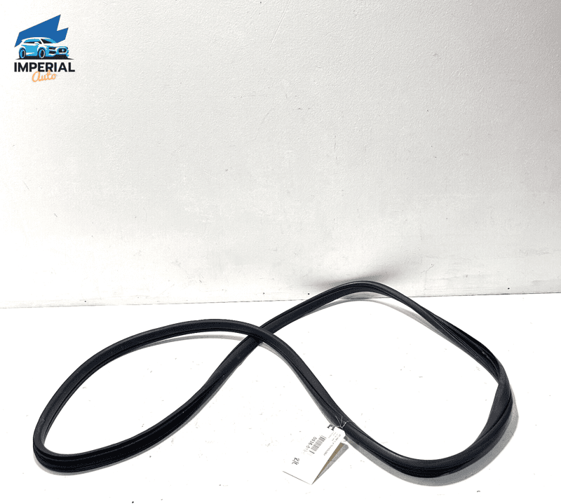Rear Left Driver Side Door Seal Weatherstrip Acura TLX 2015-2020 OEM 1PCS