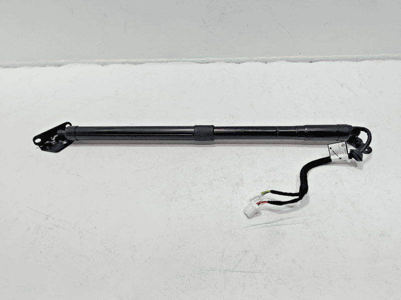 2019-2022 HONDA PILOT REAR DRIVER SIDE TAILGATE LIFTGATE LIFT CYLINDER STRUT OEM
