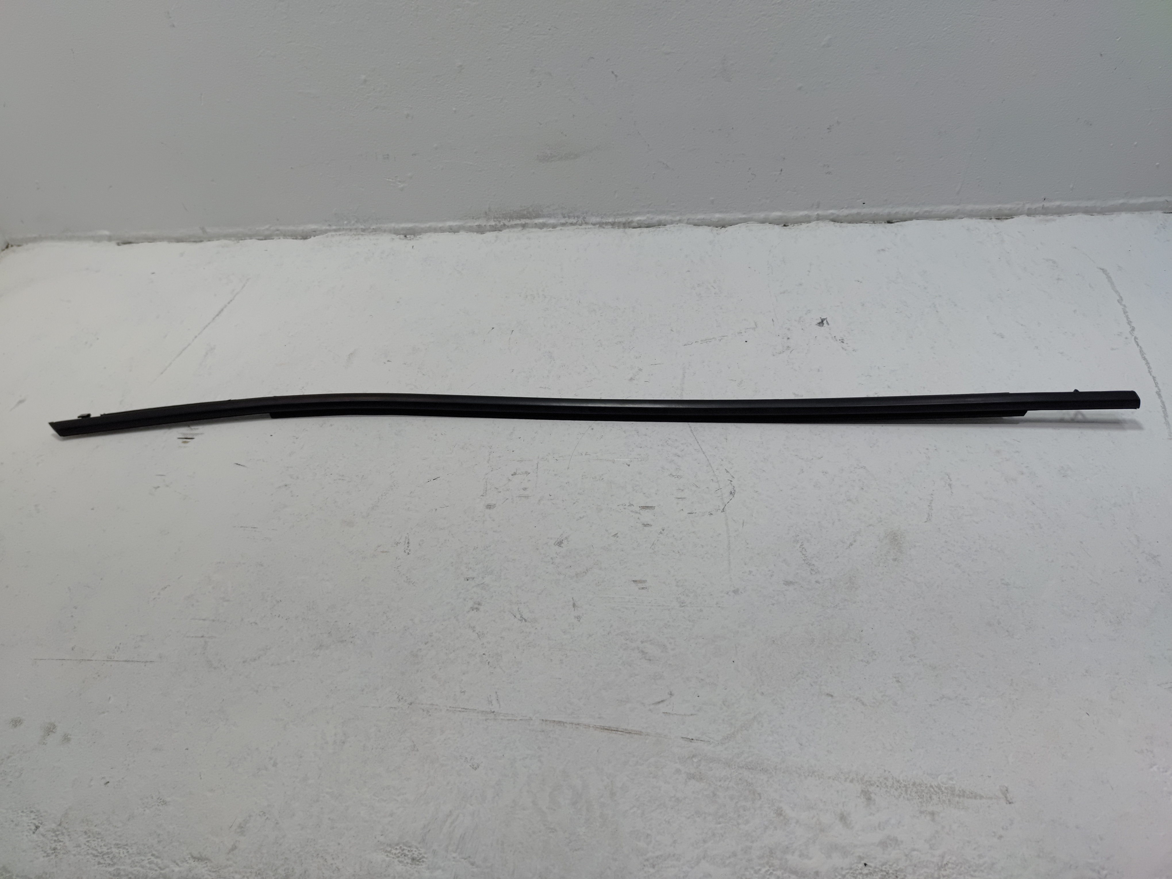2019-2025 Toyota RAV4 Front Right Passenger Side Door Window Belt Molding OEM