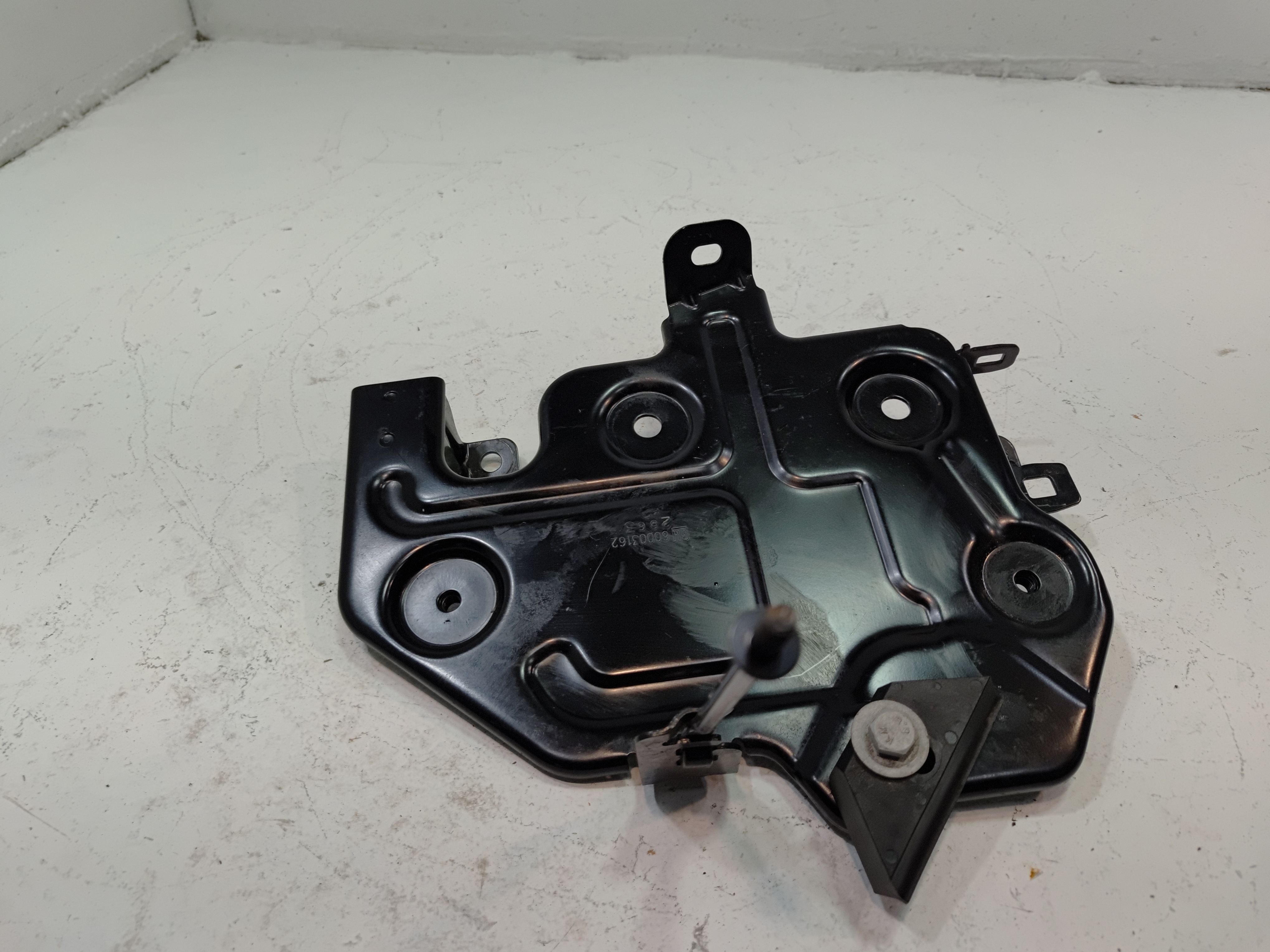 2024 2025 BUICK ENVISTA FRONT PASSENGER SIDE DOOR ON BODY WEATHERSTRIP SEAL OEM