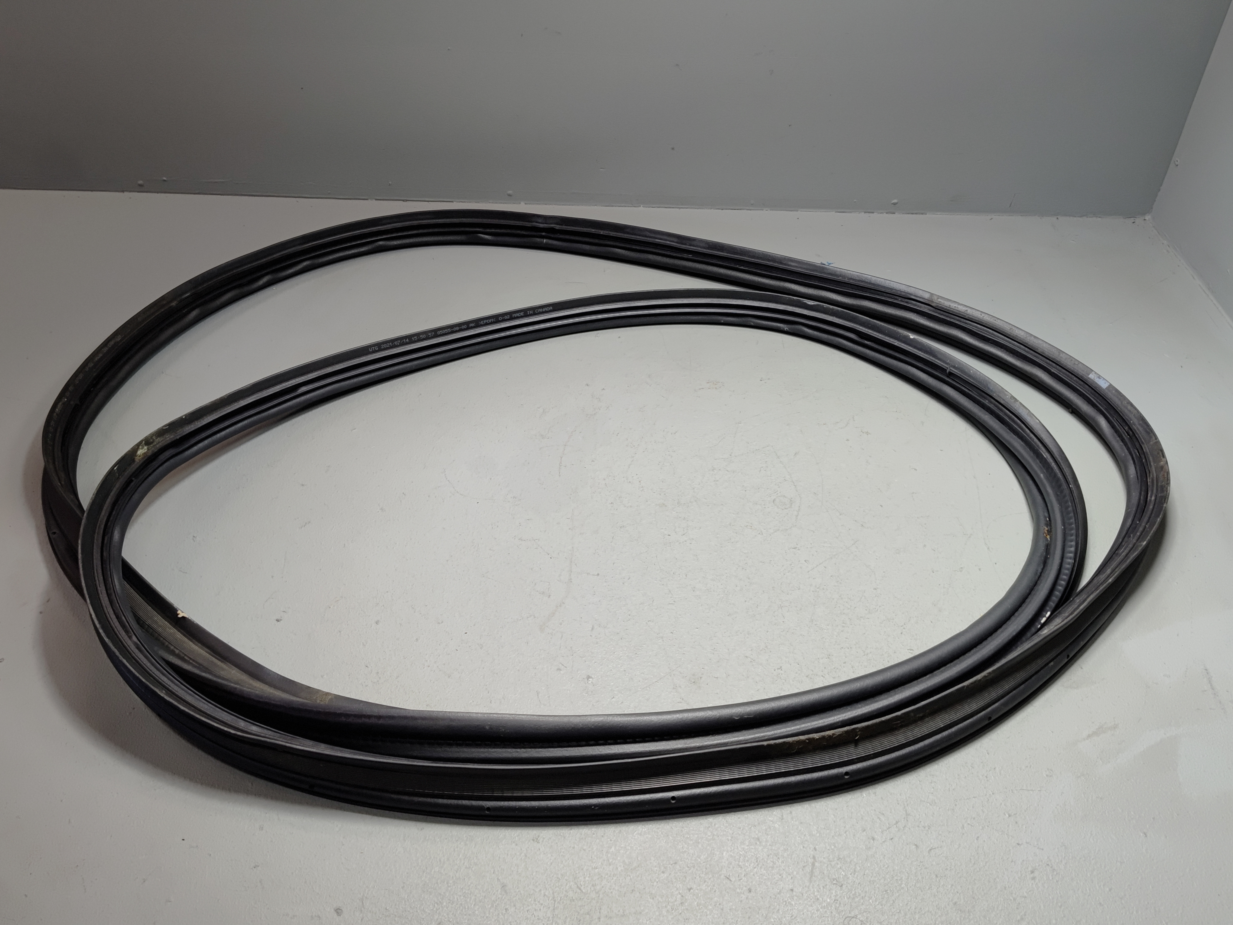 2019-2025 TOYOTA RAV4 DOOR BODY WEATHERSTRIP SEAL OEM