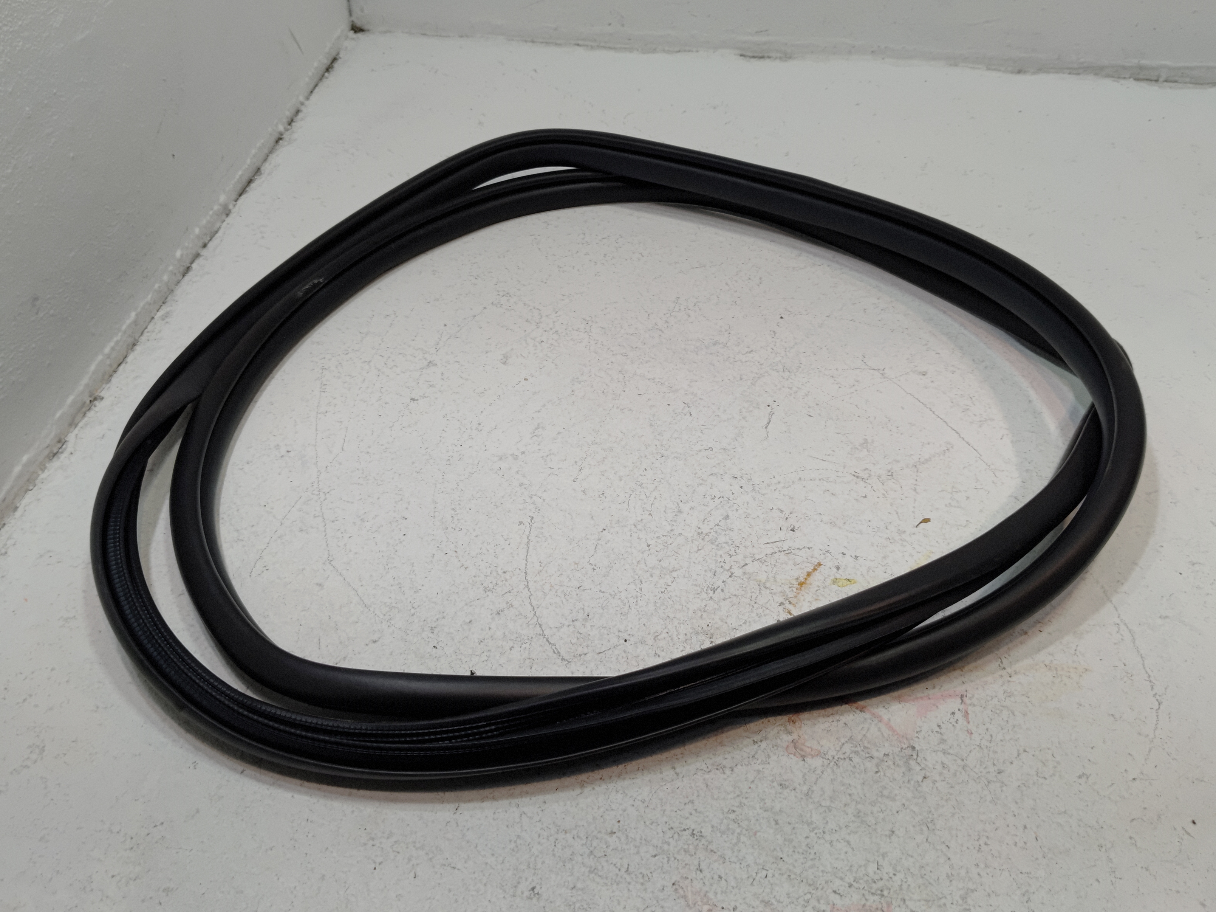 2019-2024 TOYOTA RAV4 FRONT RIGHT PASSENGER SIDE DOOR BODY WEATHERSTRIP SEAL OEM