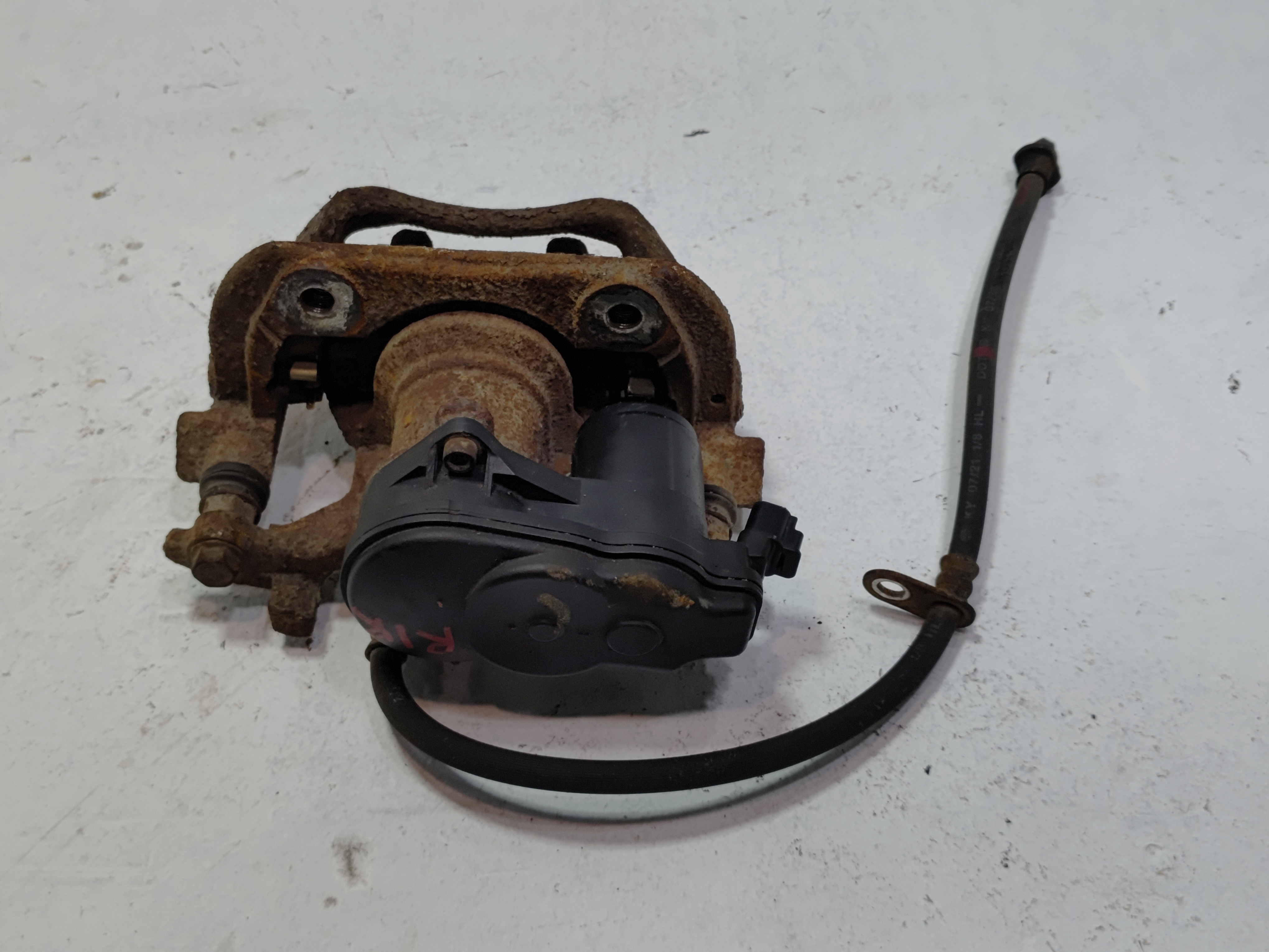 2019-2025 Toyota RAV4 Rear Right Passenger Side Brake Caliper W/ Actuator OEM