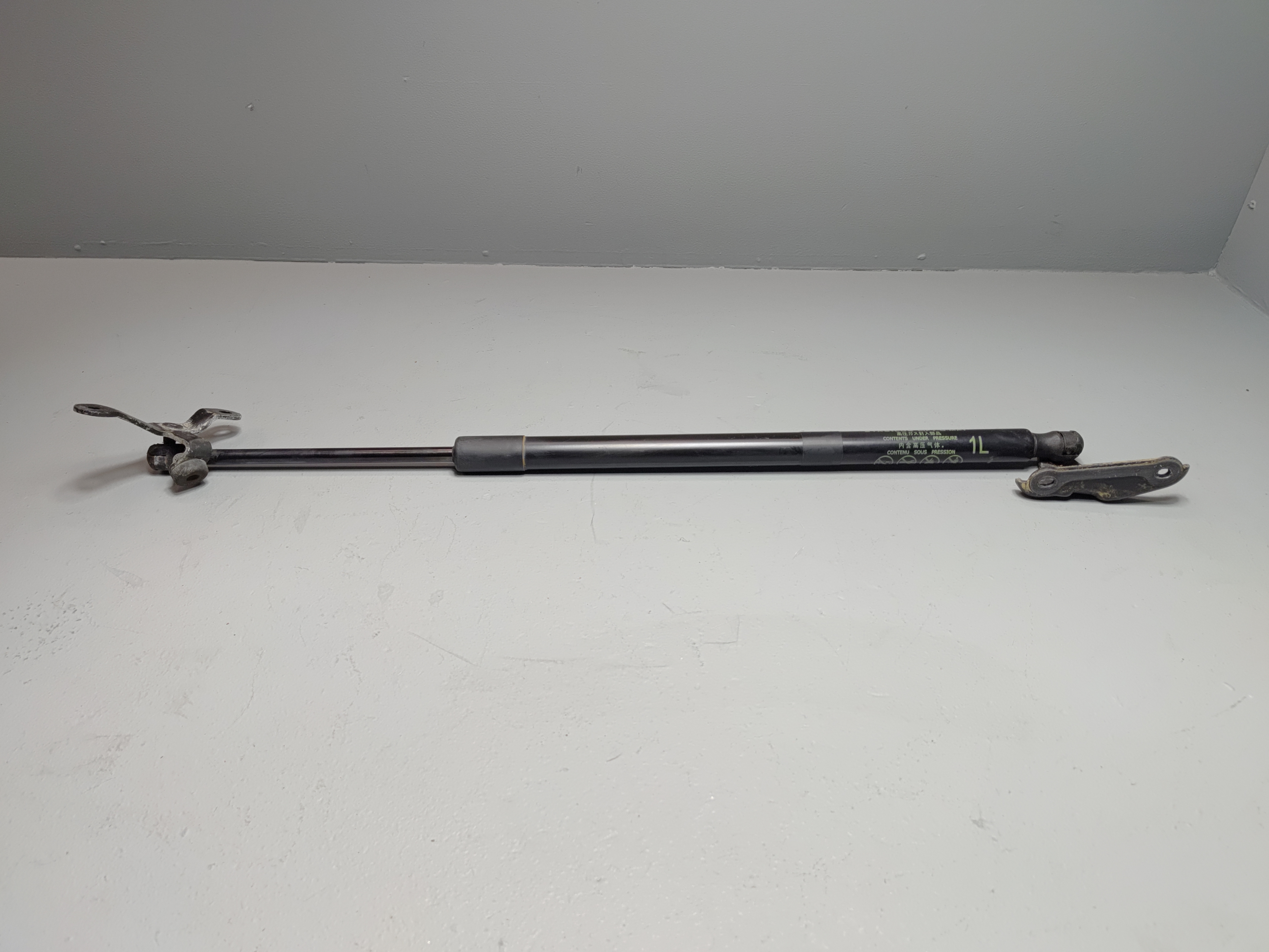 2019-2024 Toyota RAV4 Tailgate Liftgate Driver Side Lift Support Cylinder OEM
