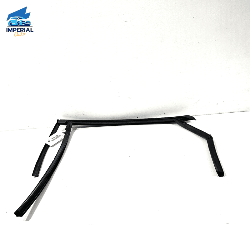 FORD FUSION 2017-20 REAR RIGHT PASSENGER DOOR WINDOW GLASS RUN CHANNEL SEAL