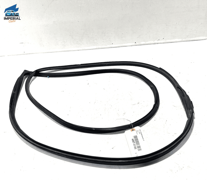 HONDA ACCORD 2018-2020 FRONT PASSENGER DOOR WINDOW OPENING SEAL WEATHERSTRI
