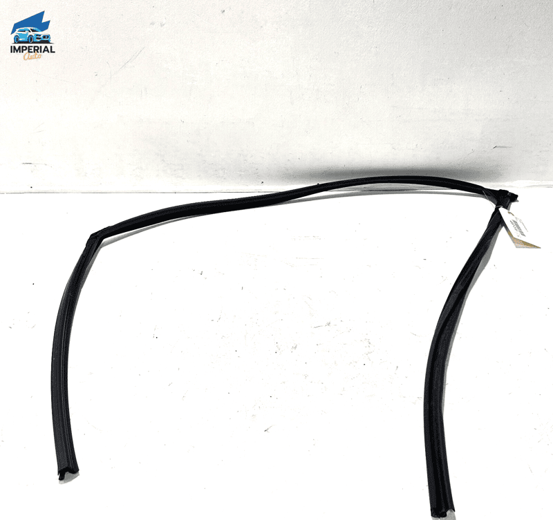 HONDA ACCORD LX 2018-2020 FRONT RIGHT PASSENGER DOOR GLASS RUN CHANNEL SEAL