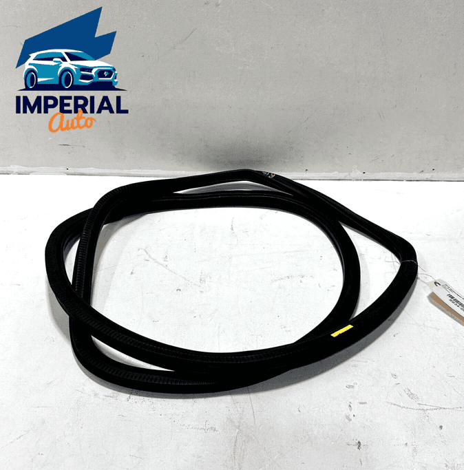 2012-2022 VOLKSWAGEN PASSAT REAR LEFT DRIVER DOOR BODY WEATHERSTRIP SEAL OE