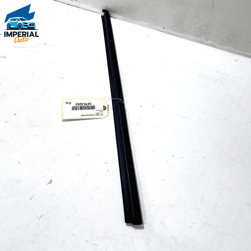 Front Passenger Side Door Window Weatherstrip Seal GMC Terrain 2018-2023 OE