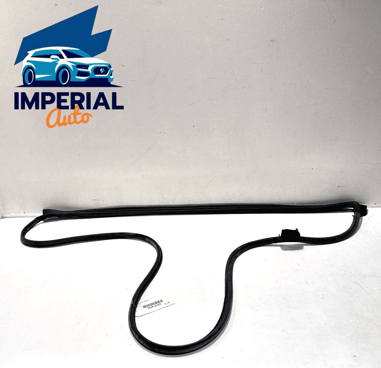 2018-2023 TOYOTA CAMRY FRONT RIGHT SIDE DOOR SEAL RUBBER WEATHERSTRIP OEM