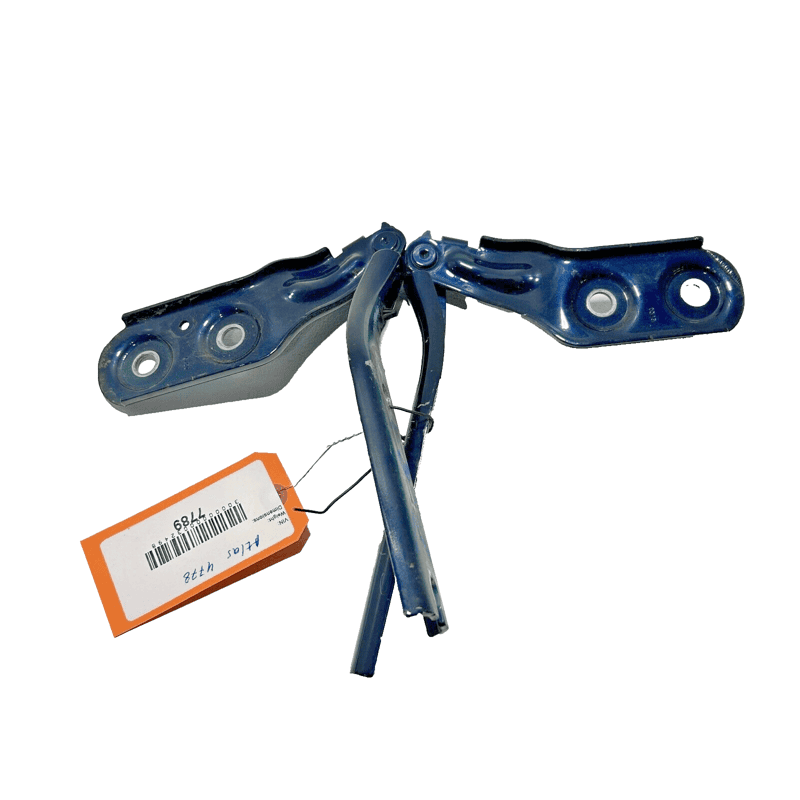 2018-23 VOLKSWAGEN VW ATLAS Hood Hinge Right and Left Side Blue SET OF 2PCS