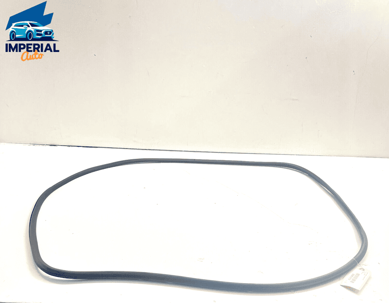 GMC TERRAIN 2018 - 2023 FRONT RIGHT PASSENGER SIDE DOOR WEATHERSTRIP SEAL O